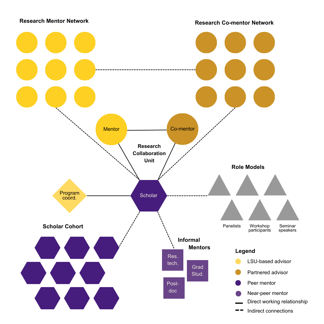 Multi-mentoring network