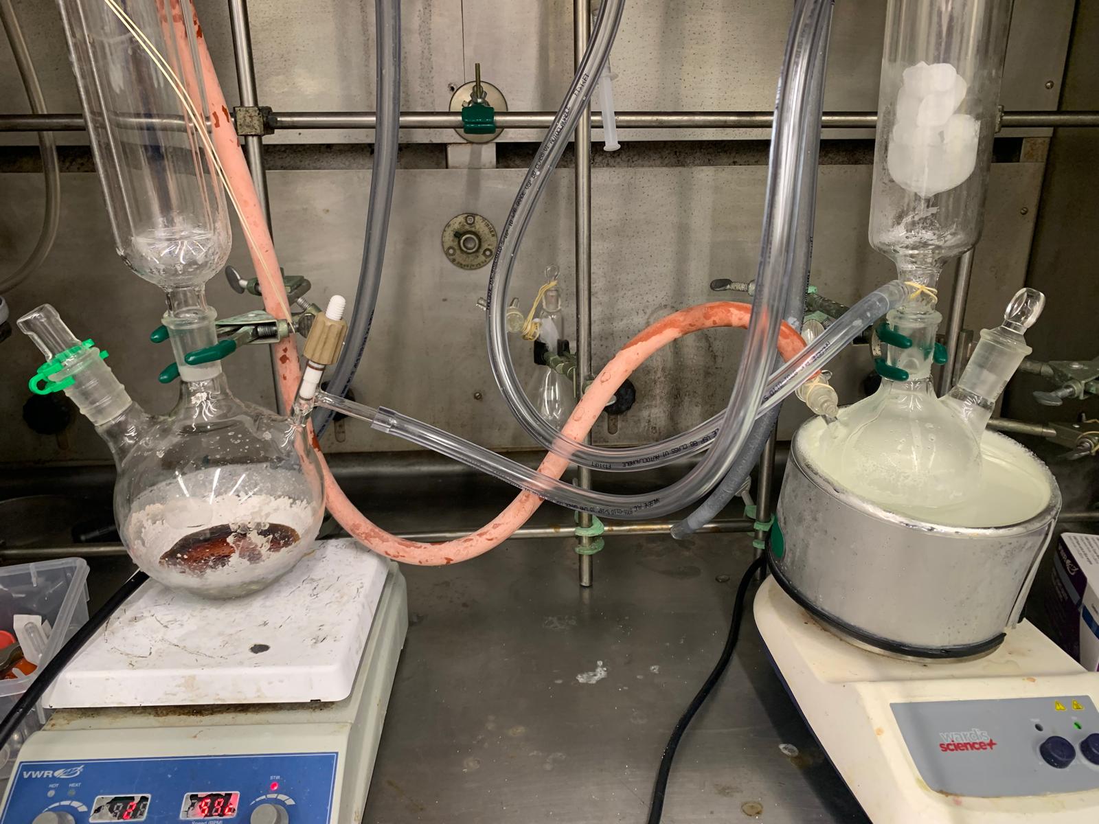 Solvating Electrons, Drying Ammonia